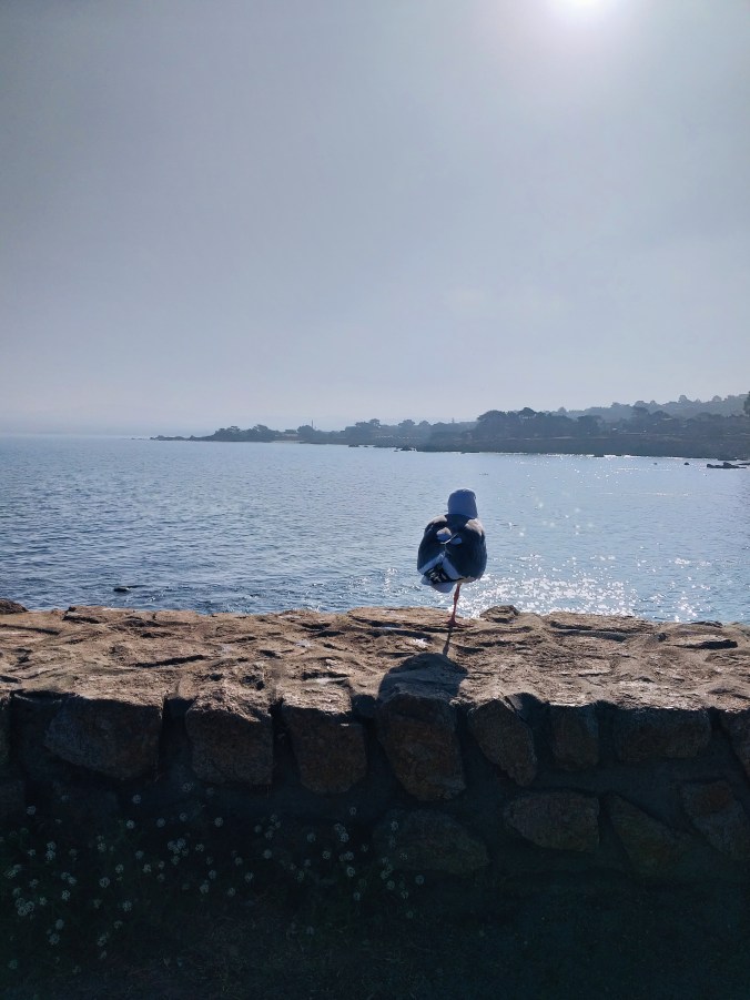 Processed with VSCO with a6 preset