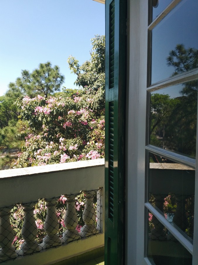 Processed with VSCO with a6 preset