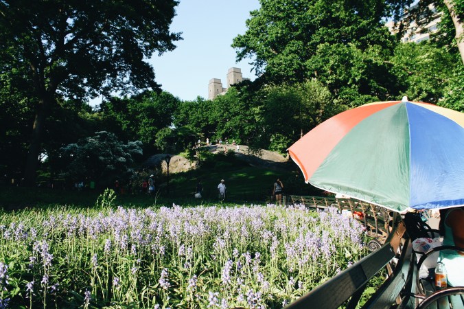 Processed with VSCO with a6 preset